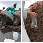 Screenshot 2025-10-25 at 12-18-37 https __www.scielo.br_j_ocr_a_8tGNp4wxYmsds6mW4TvLWzs_ format pdf&lang en