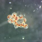 WhatsApp Image 2025-10-25 at 11.52.17