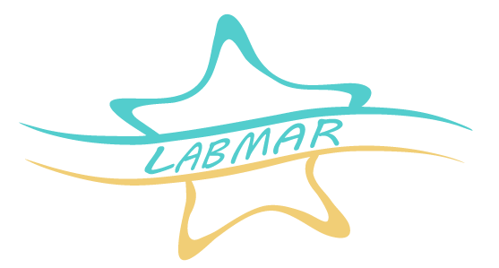 Home logo labmar 2024b 03